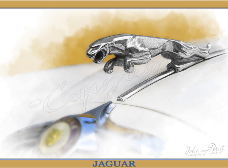 Jaguar kølerfigur, Jaguar